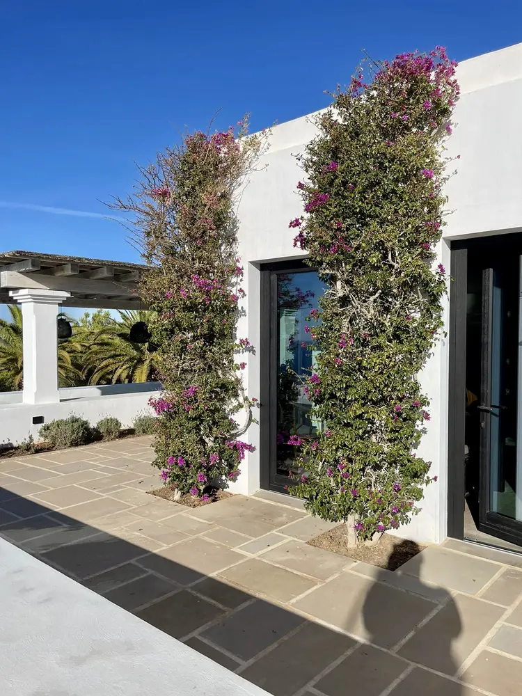 Tâmplărie Lemn Stratificat: Imobil Rezidențial, Ibiza, Spania